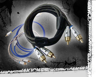 KICKER NETWORKS ZI 24 2-� ��������� ���������� ������ 4 �