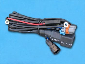 ����-������ ��� ������. �����