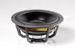 ������������� ������� Dynaudio MW 172